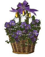 From Fairy Flyer Willow
